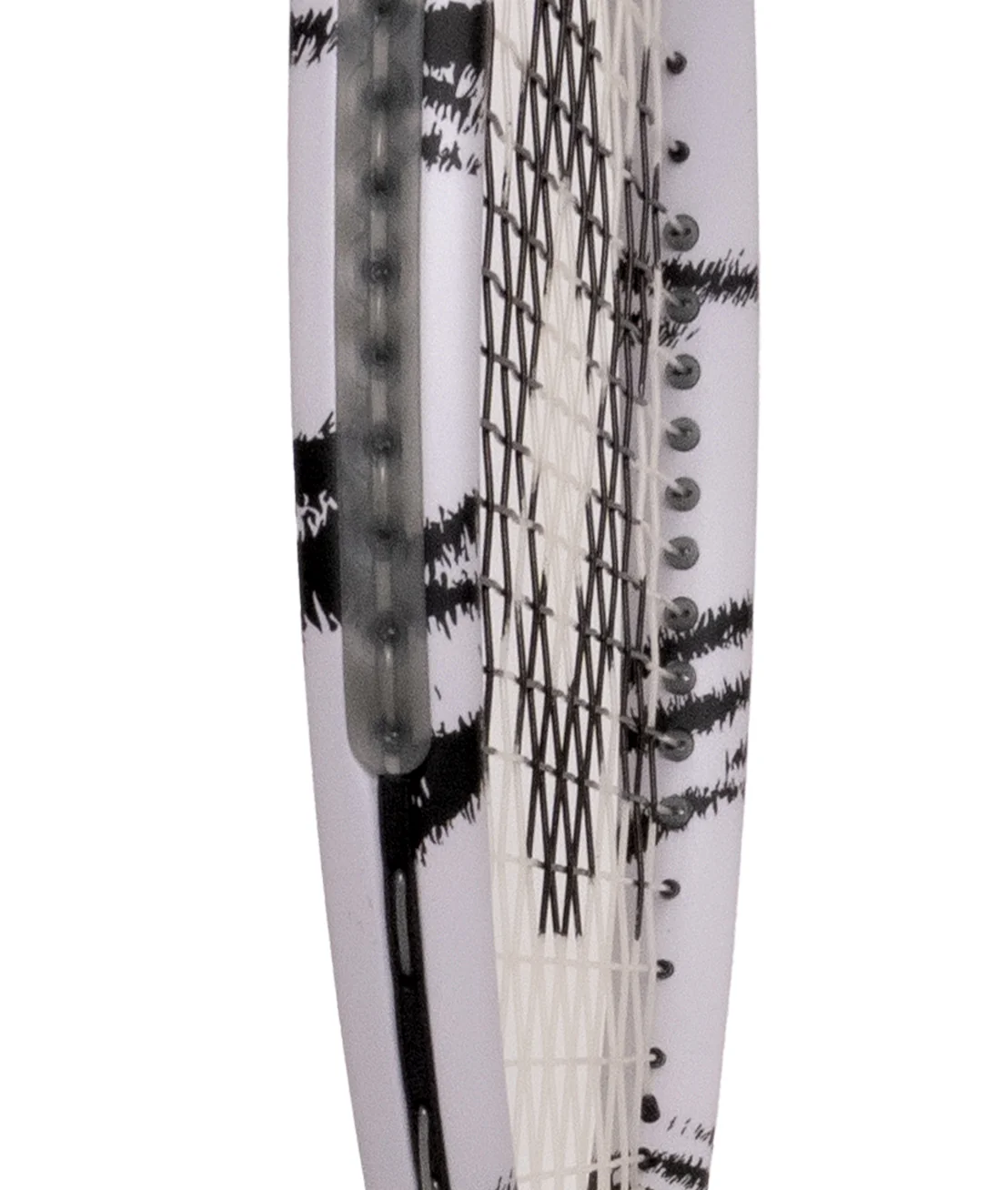 V1 Classic 2025 - Image 6